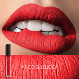 FOCALLURE Matte Lipgloss Sexy