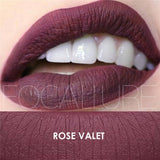 FOCALLURE Matte Lipgloss Sexy